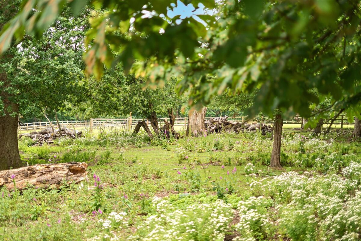 Fallowfield, Stanmore